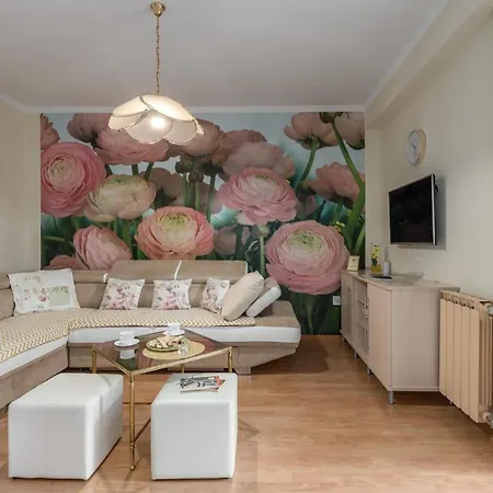 Apartments Nono Poreč Extérieur photo